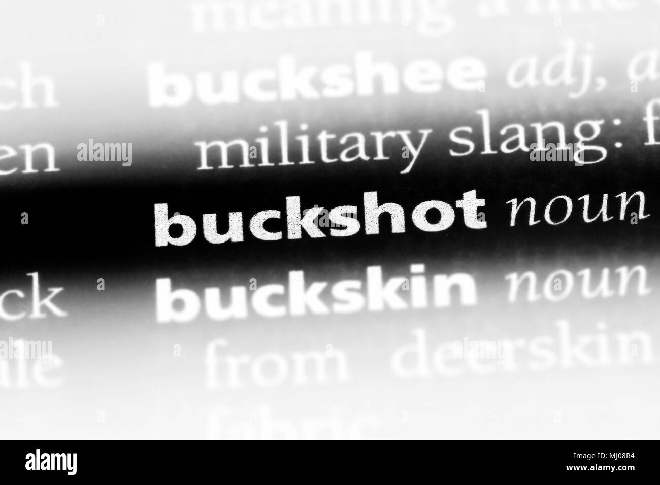 Buckshot Wort in einem Wörterbuch. buckshot Konzept. Stockfoto