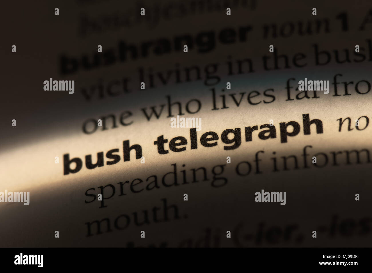 Bush Telegraph Wort in einem Wörterbuch. Bush Telegraph Konzept. Stockfoto