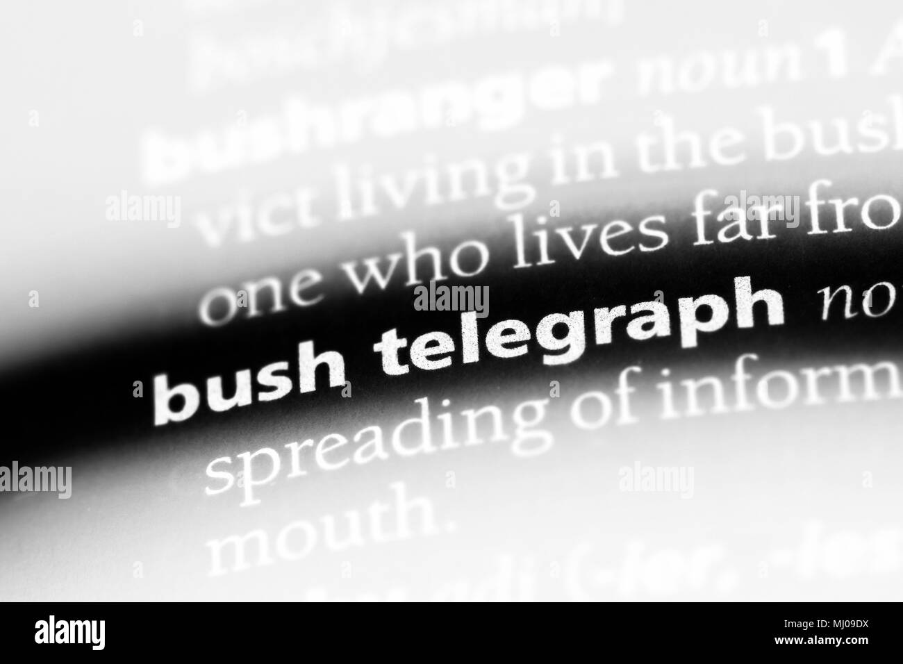 Bush Telegraph Wort in einem Wörterbuch. Bush Telegraph Konzept. Stockfoto