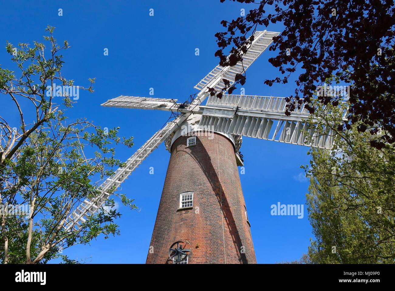 Buttrum's Mill auch als Trott der Mühle in Woodbridge, Suffolk, Großbritannien bekannt. Gebaut 1863. Restauriert und jetzt Grade 2 aufgeführt. Pfefferstreuer Stil. Stockfoto
