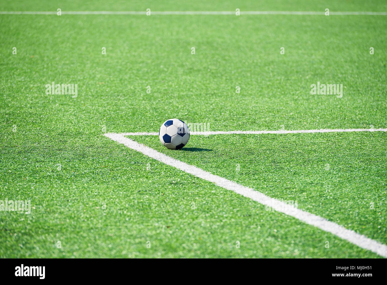 Fußball auf dem Rasen des Fußballstadions Stockfoto