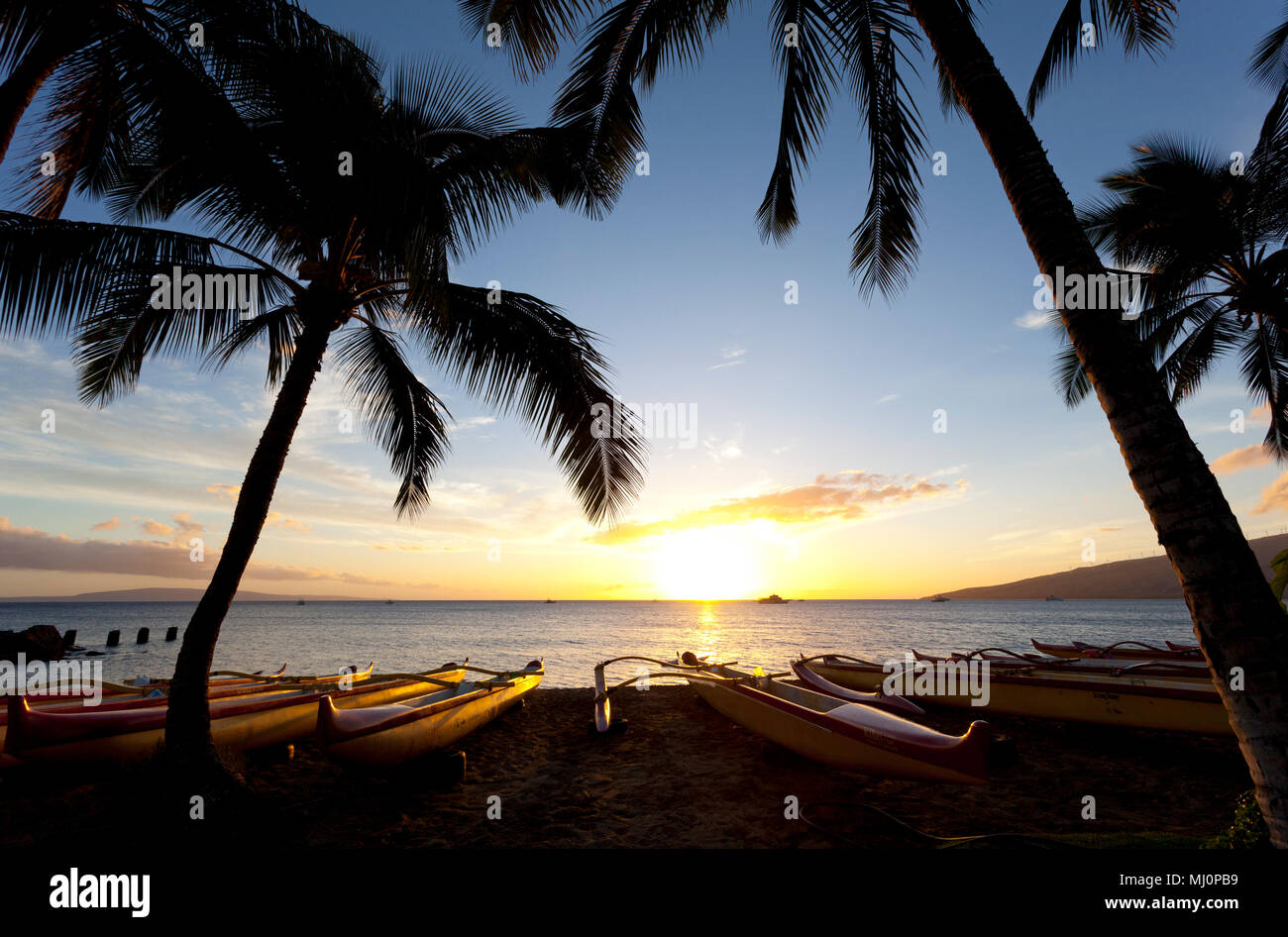 Outrigger Kanus am Strand in Kihei, Maui, Hawaii. Stockfoto