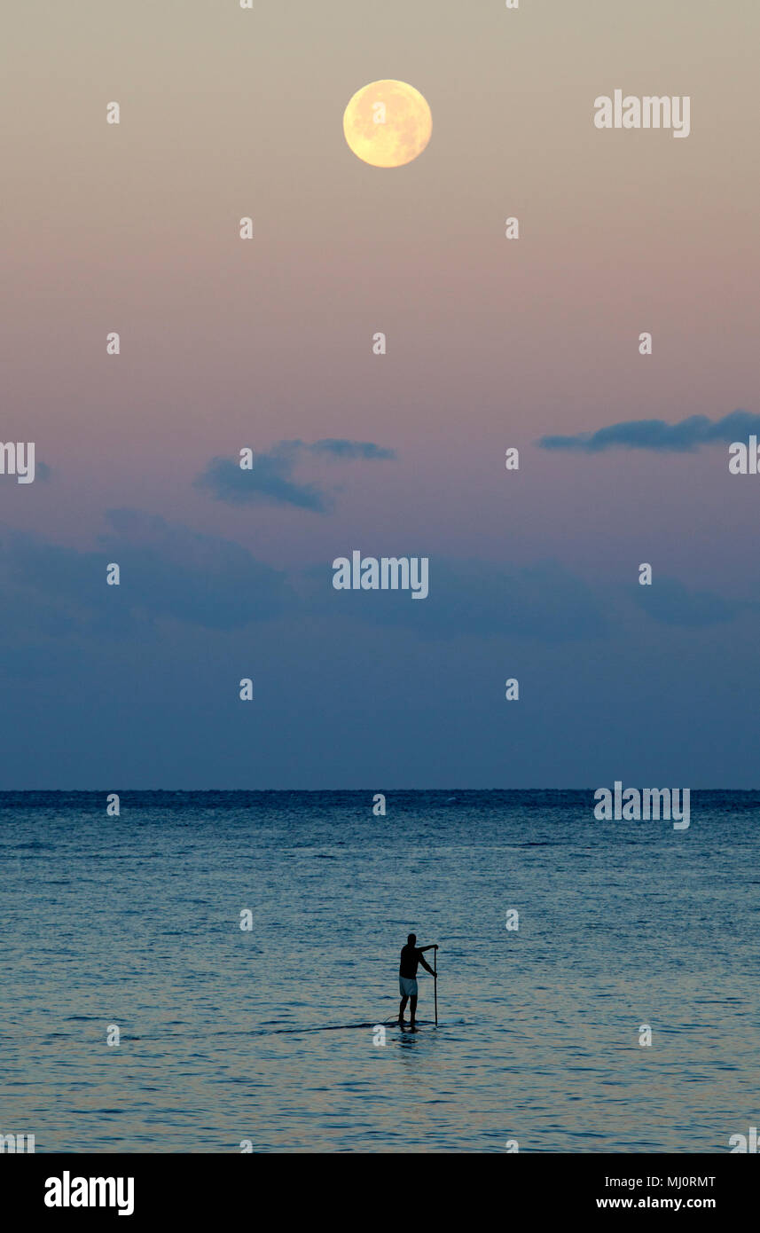 Früh am Morgen Stand up Paddeln mit Vollmond in Kihei, Maui, Hawaii Stockfoto