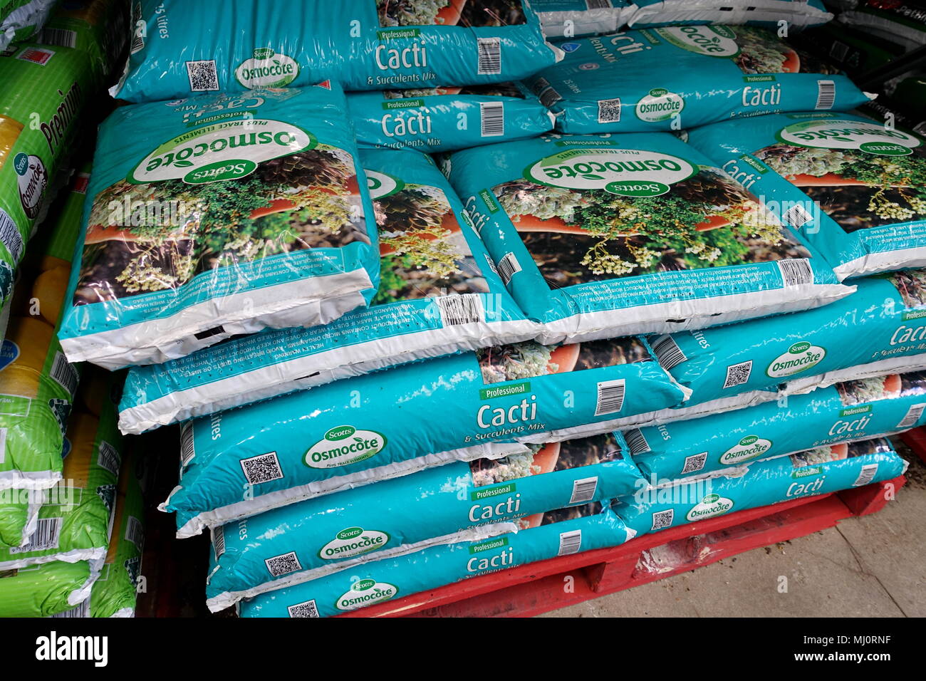 Osmocote Kakteen umtopfen Mix Stockfoto