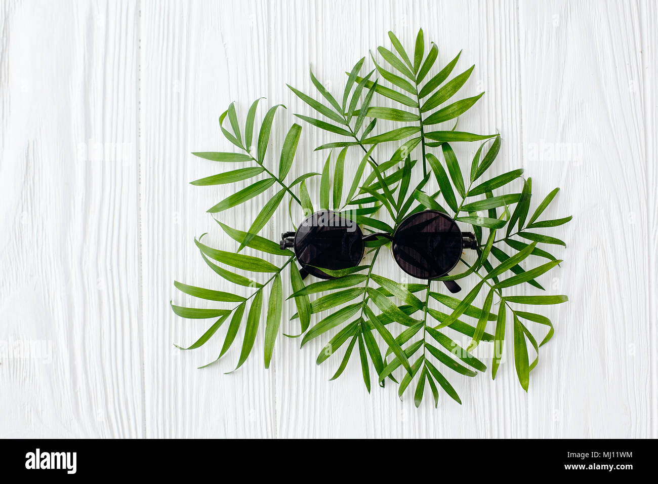 Elegante schwarze Sonnenbrille auf grünen Palmen Blätter auf weißem Holz- Hintergrund. Sommer Urlaub Konzept, flach. Platz für Text. moderne Reise- und wanderl Stockfoto