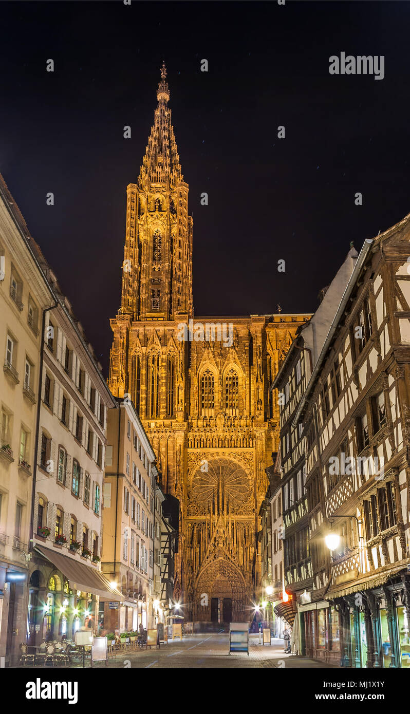 Blick auf das Straßburger Münster (Notre-Dame de Strasbourg). Elsass, Stockfoto