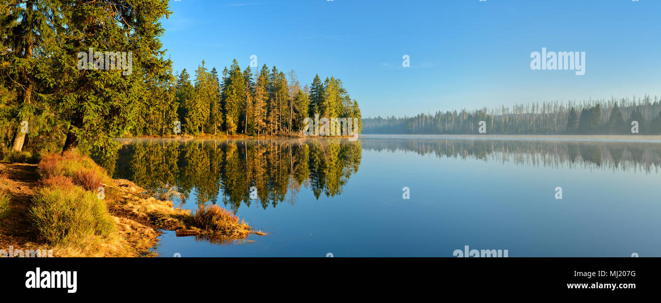 Morgen Atmosphäre an der Oder Teich, am Ufer natürlichen Wald, teilweise toten Fichten durch Käfer Befall zu bellen Stockfoto