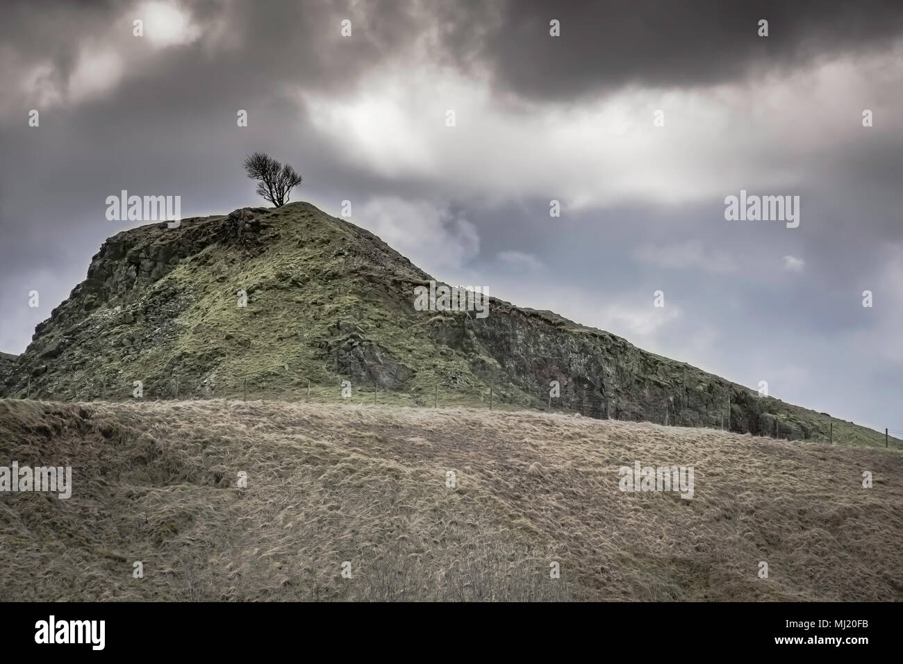 Baum auf der felsigen Hügel und dunkle, dramatische, bewölkter Himmel. Nationalpark Peak District, Derbyshire Uk. Atemberaubende britische Landschaft Landschaft, Feder Stockfoto
