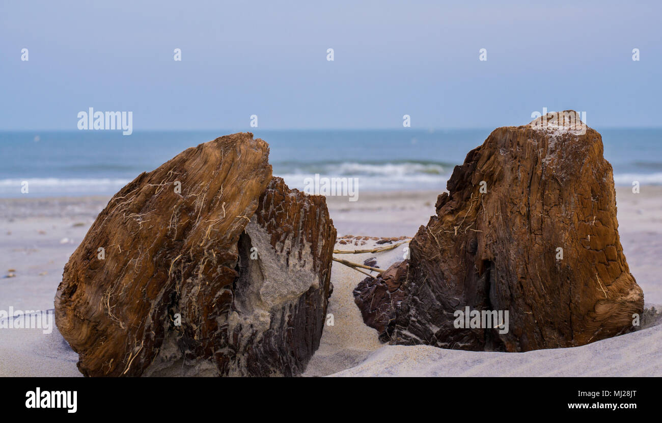 Pea Island Bird Sanctuary, Bodie Leuchtturm, geschützten Küste auf der östlichen Küste von North Carolina. Diese Reise wird Sie begeistern. Stockfoto