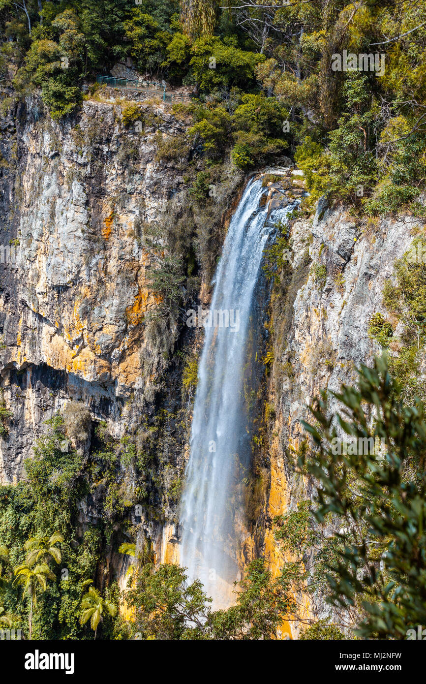 Rainbow Falls - schönen Wasserfall in Springbrook National Park, Queensland, Australien Stockfoto