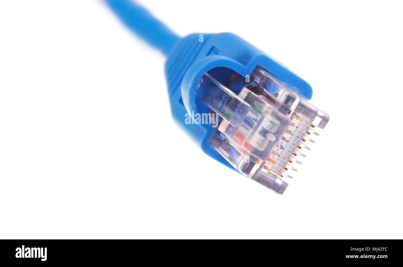 Blaue Datenkabel kommt aus Blur für den Anschluss von Computern an das Ethernet auf weißem Hintergrund. Stockfoto