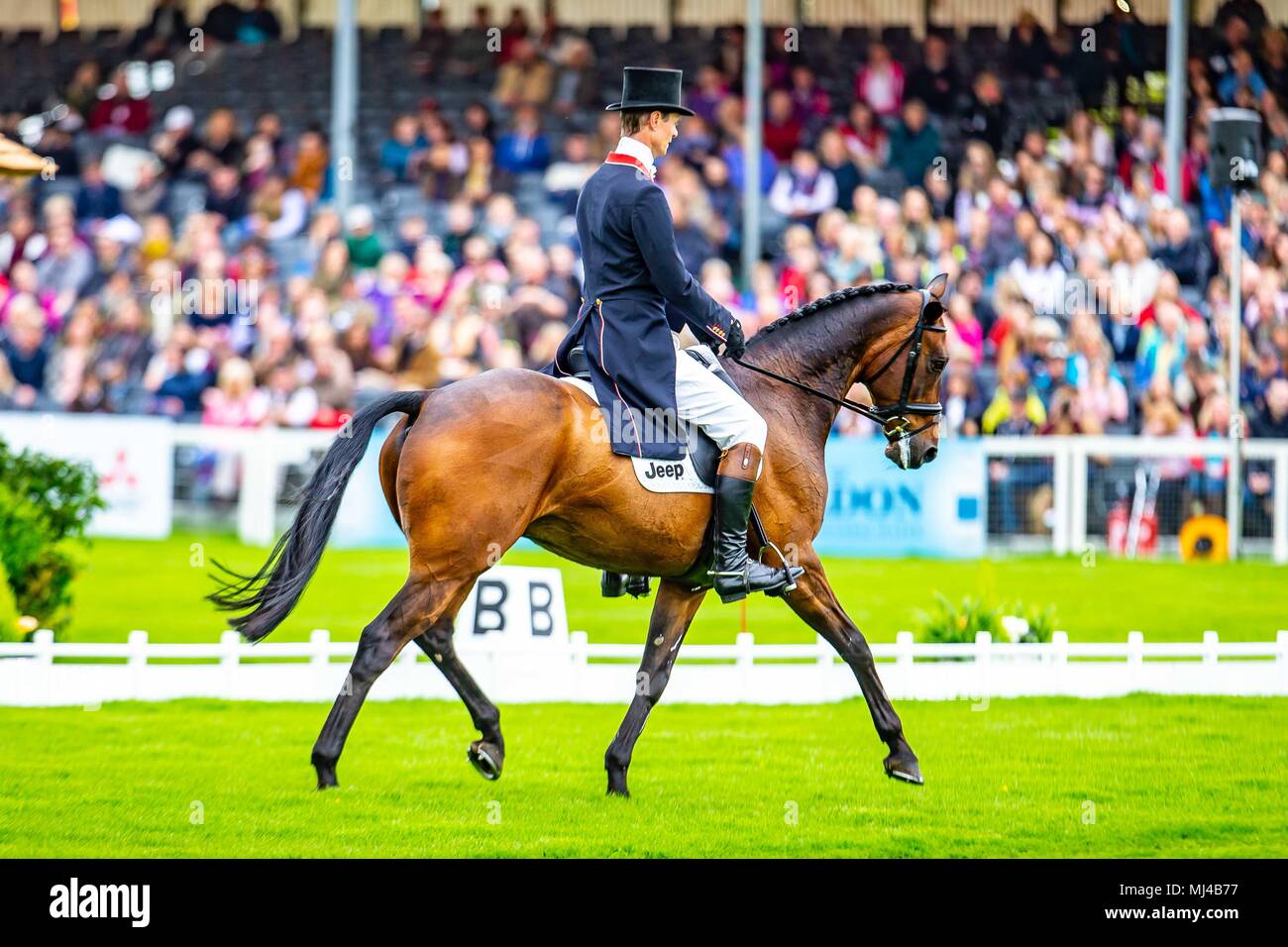 Badminton, Großbritannien. 4. Mai 2018. Morgen Dressur. William Fox-Pitt. Fernhill Pimms. GBR. Mitsubishi Badminton Horse Trials. Badminton. UK. 04.05.2018. Credit: Sport in Bildern/Alamy leben Nachrichten Stockfoto