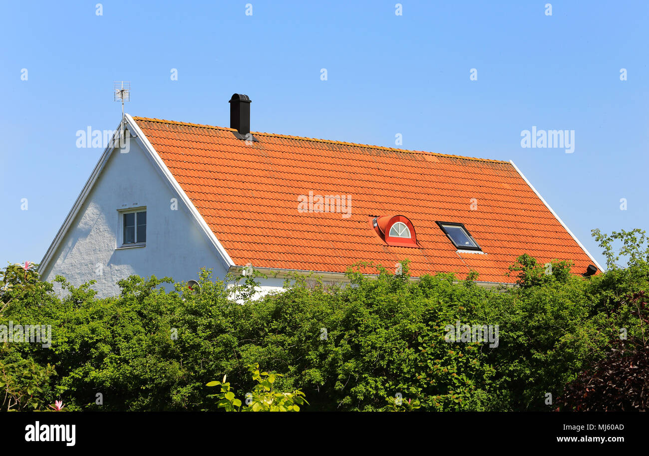 Weiße schwedische Einfamilienhaus mit rotem Dach hinter einer Hecke. Stockfoto