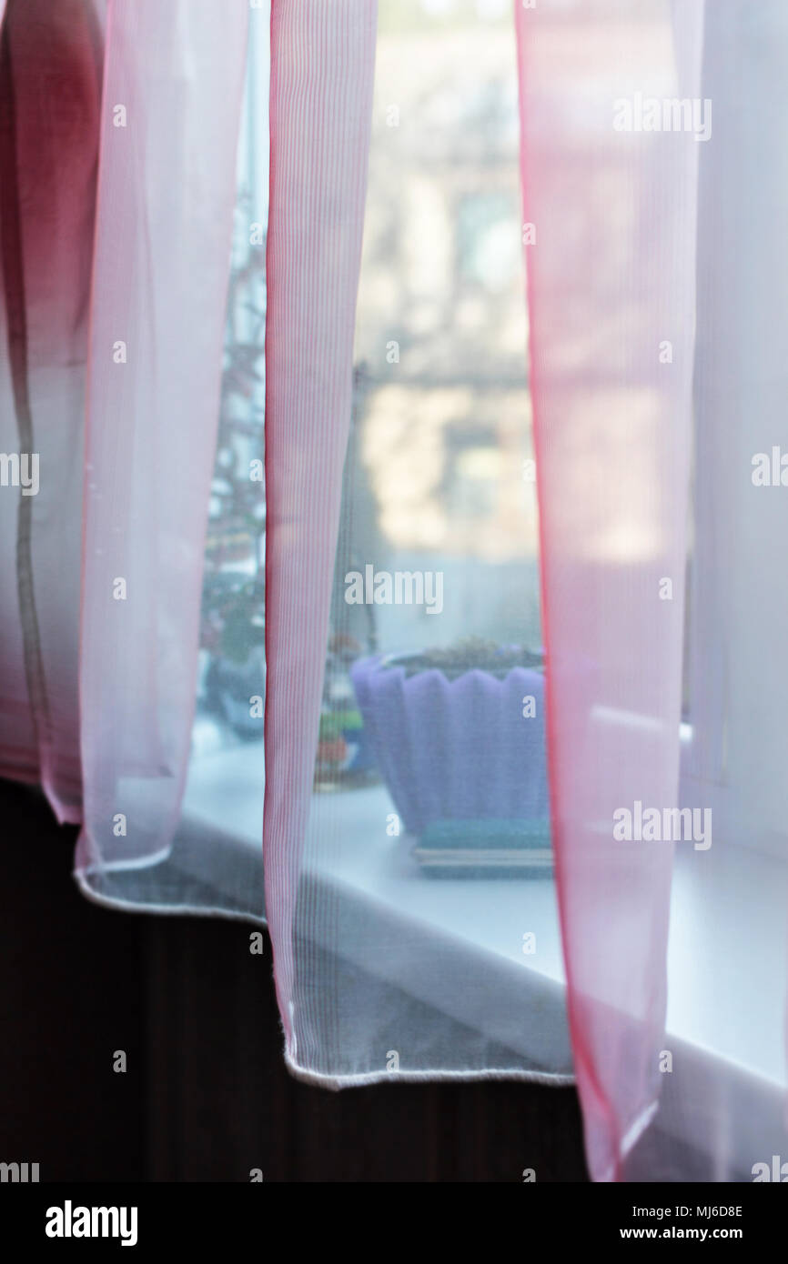 Transparent pink Vorhang am Fenster am Tag Zimmer Stockfoto