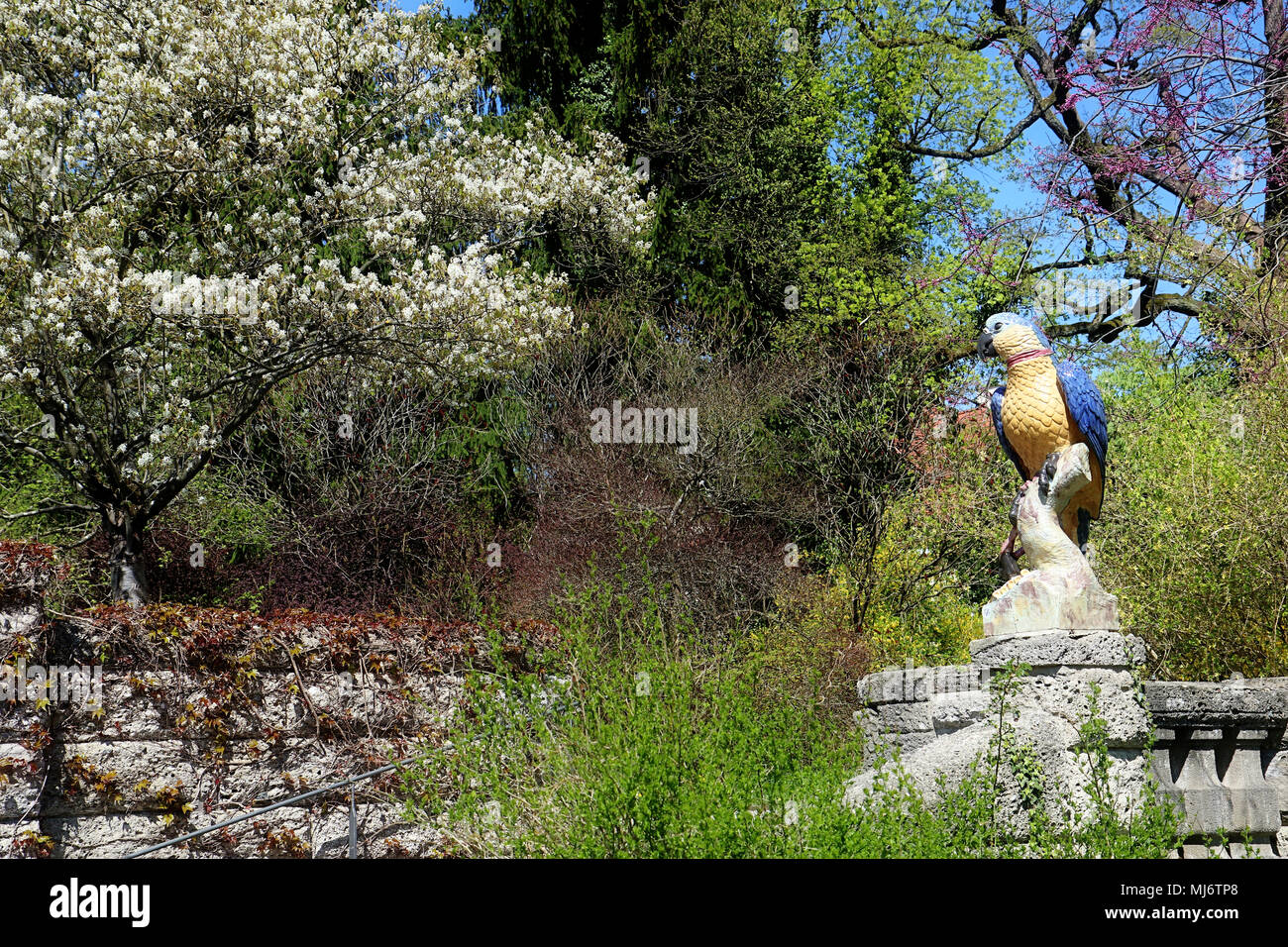 München, Deutschland - 20 April, 2018 - Frühling Ecke im Botanischen Garten in München. Der botanische Garten wurde 1914 erstellt und pflegt über 14.00 Stockfoto