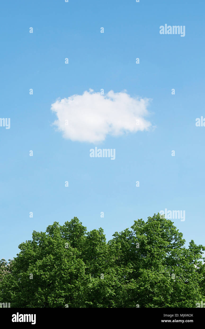 Blauer Himmel mit weißen Wolken über grünen Wipfel, vertikaler Natur Hintergrund mit Kopie Raum Stockfoto