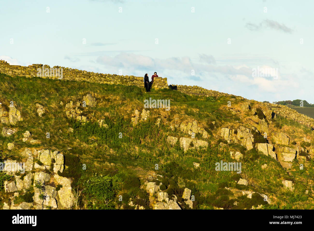Hadrians Wall hat erstreckt sich die nutzen die natürliche Abwehr Chancen der großen Whin Sill, Northumberland Aufschlüsse. Stockfoto