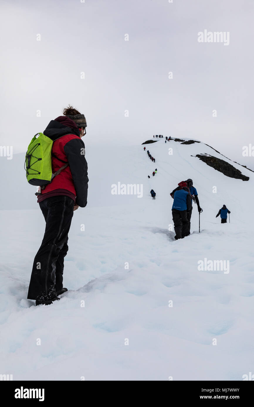 Braun, Antarktis - Dezember 23, 2016: eine Gruppe von Touristen auf einem schneebedeckten Hang gegen einen bewölkten Himmel Stockfoto
