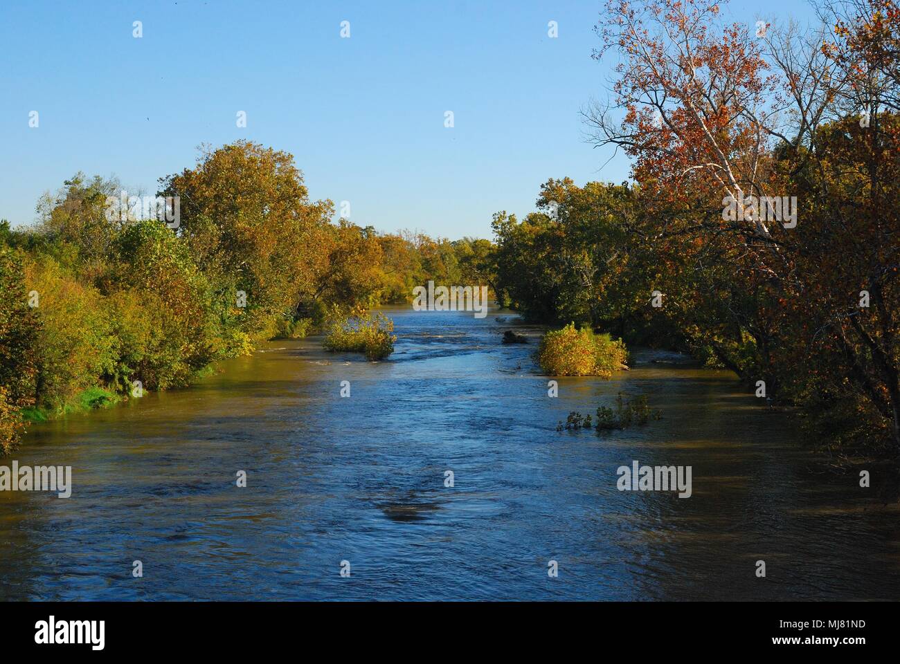 South Fork des Shenandoah River (oder South River) Rockingham County, Virginia, USA Stockfoto