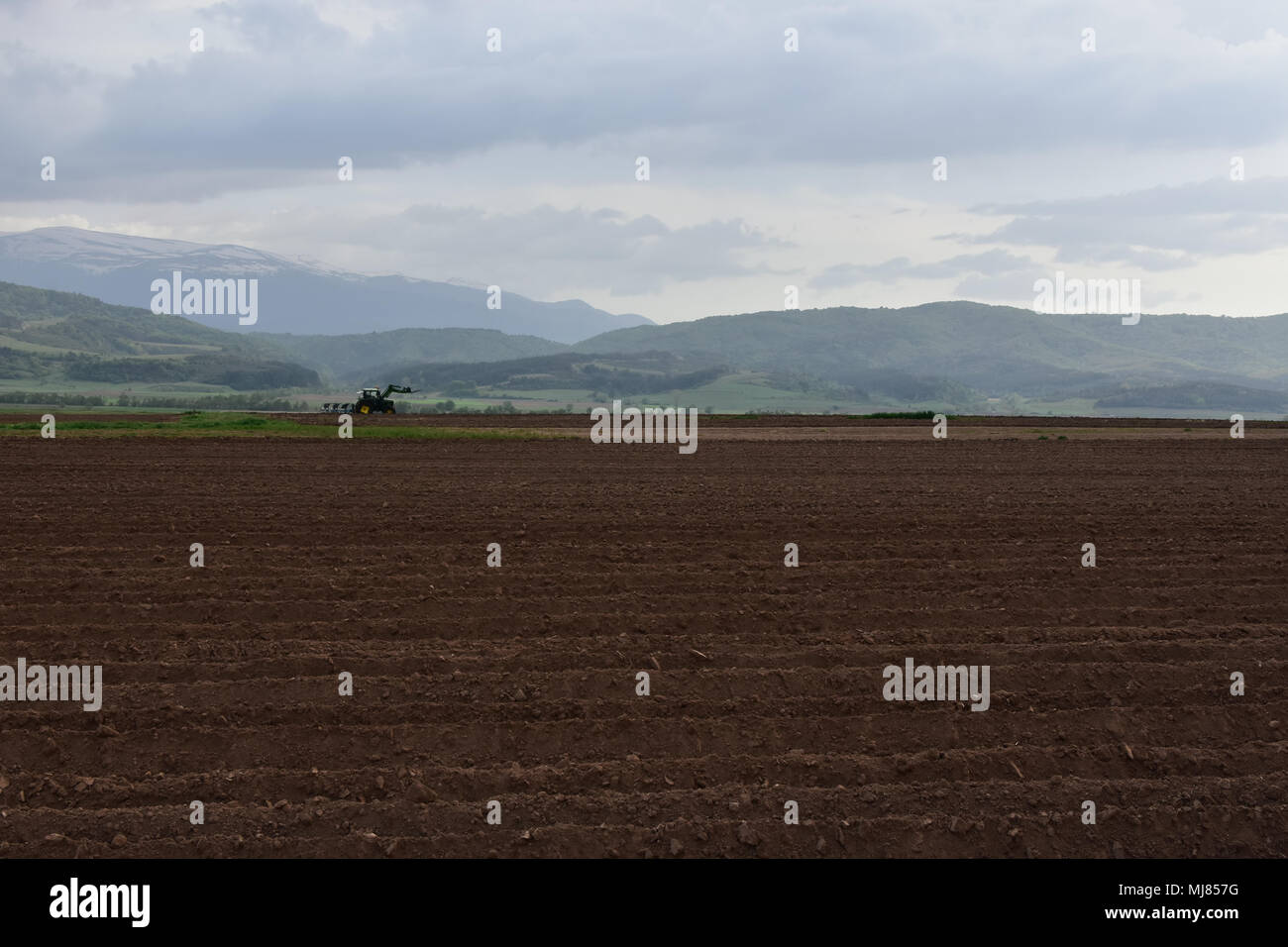 Gepflügte Feld nach Regen, Feder landwirtschaftlichen Arbeit, Landwirtschaft, Samokov Tal, Bulgarien, Europa Stockfoto