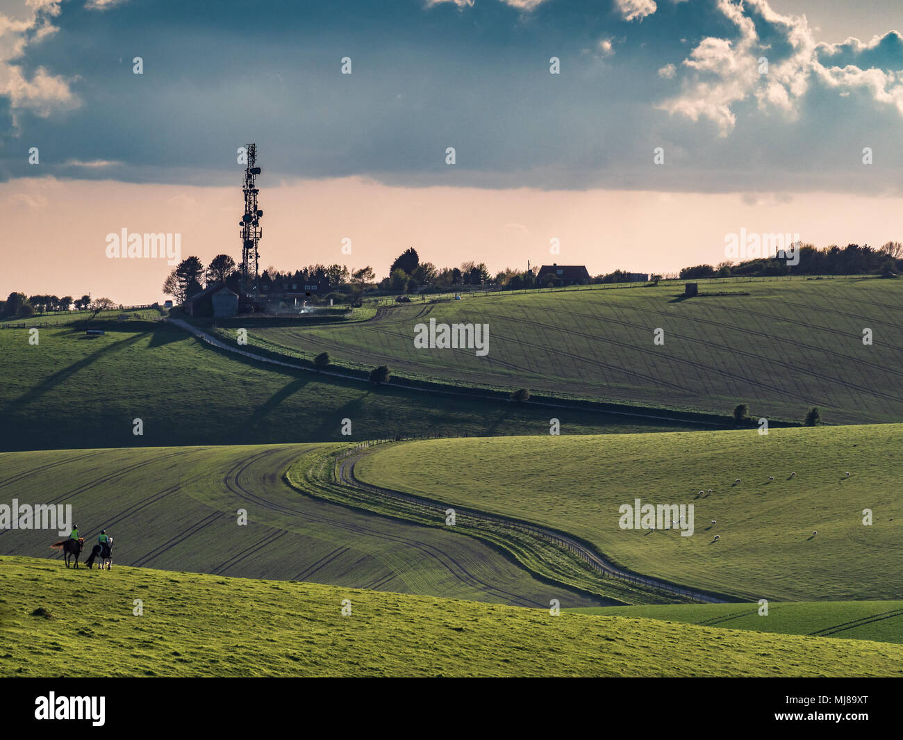 Reiten die South Downs Stockfoto