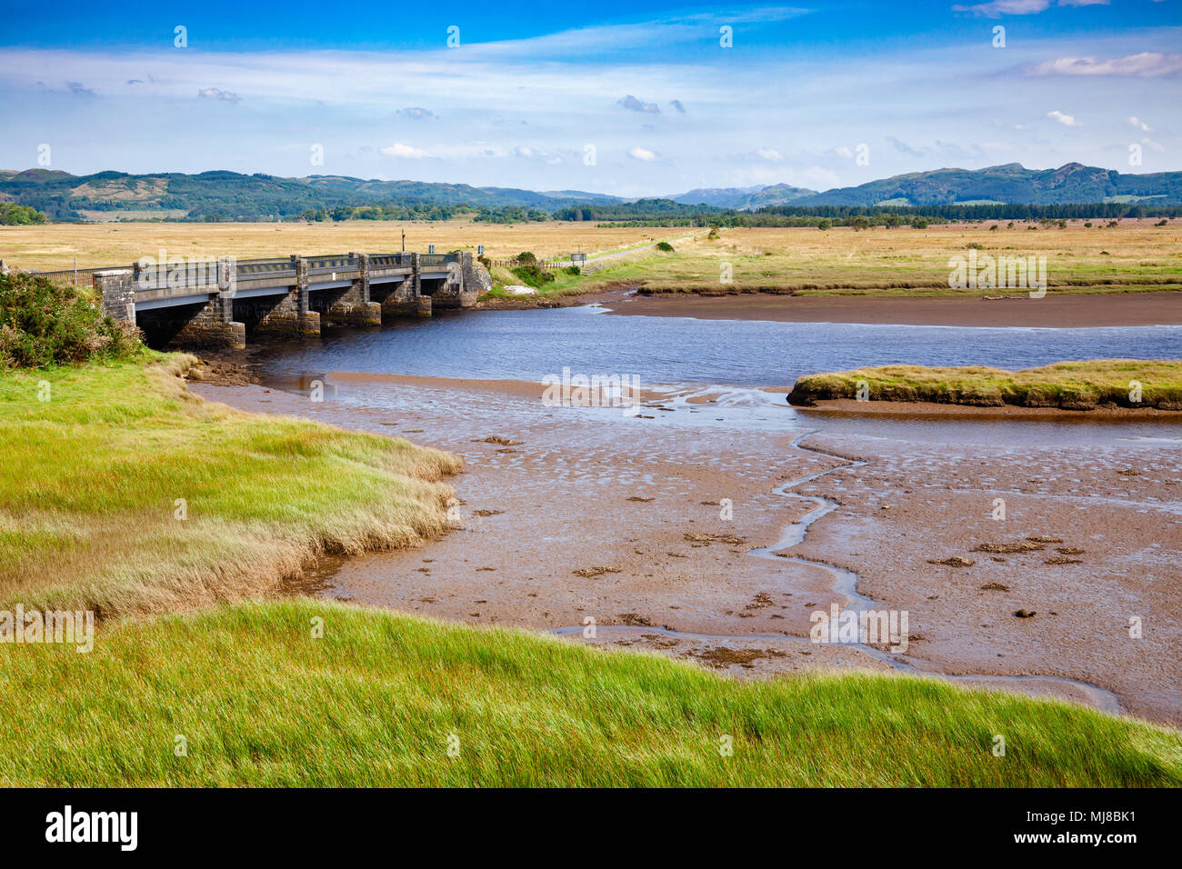 Moine Mhor National Nature Reserve in der Nähe von Kilmartin mit großen Hochmoor, saltmarsh, Brack Grasland, erle Carr, Moor und Wald, Argyll ein Stockfoto