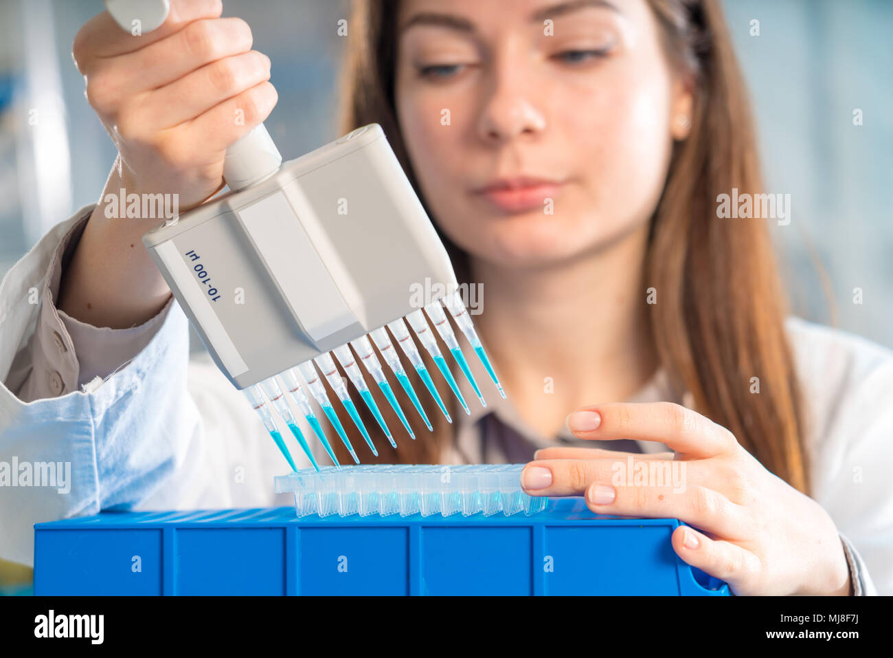 Student Frau mit multi Pipette und andere PCR-Produkte in der mikrobiologischen/genetischen Labor Stockfoto