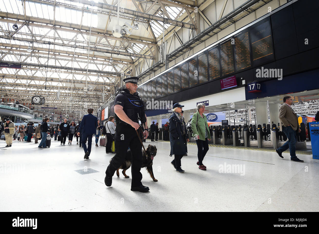 Ein Polizei Hundeführer und seinen Hund bei Waterloo Station in London, wo die Leute reisen werden von der königlichen Hochzeit zu sehen. Stockfoto