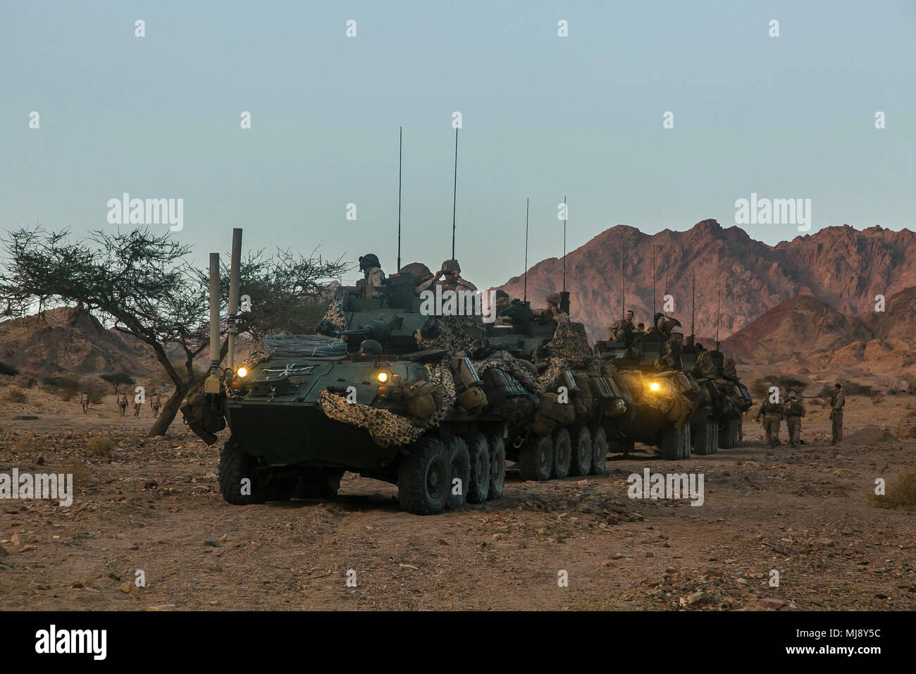 JORDAN (19. April 2018) US-Marines auf der Light Armored Reconnaissance Platoon, Bataillon Landung Team, 2.BATAILLON, 6 Marine Regiment, 26 Marine Expeditionary Unit, transport Marines zugewiesen zu Fox Company, BLT 2/6, 26 MEU, zu einer Ausbildung Bereich während eifrig Lion 2018, Jordan. Eifrig Lion ist ein schlußstein Ausbildung Engagement, die US-Streitkräfte und der Jordan Streitkräfte eine Gelegenheit, die in einer Koalition Umwelt zu proben und neue Wege, um gemeinsam Gefahren für die regionale Sicherheit und die Sicherheit im Seeverkehr verbessern. (U.S. Marine Corps Foto b Stockfoto