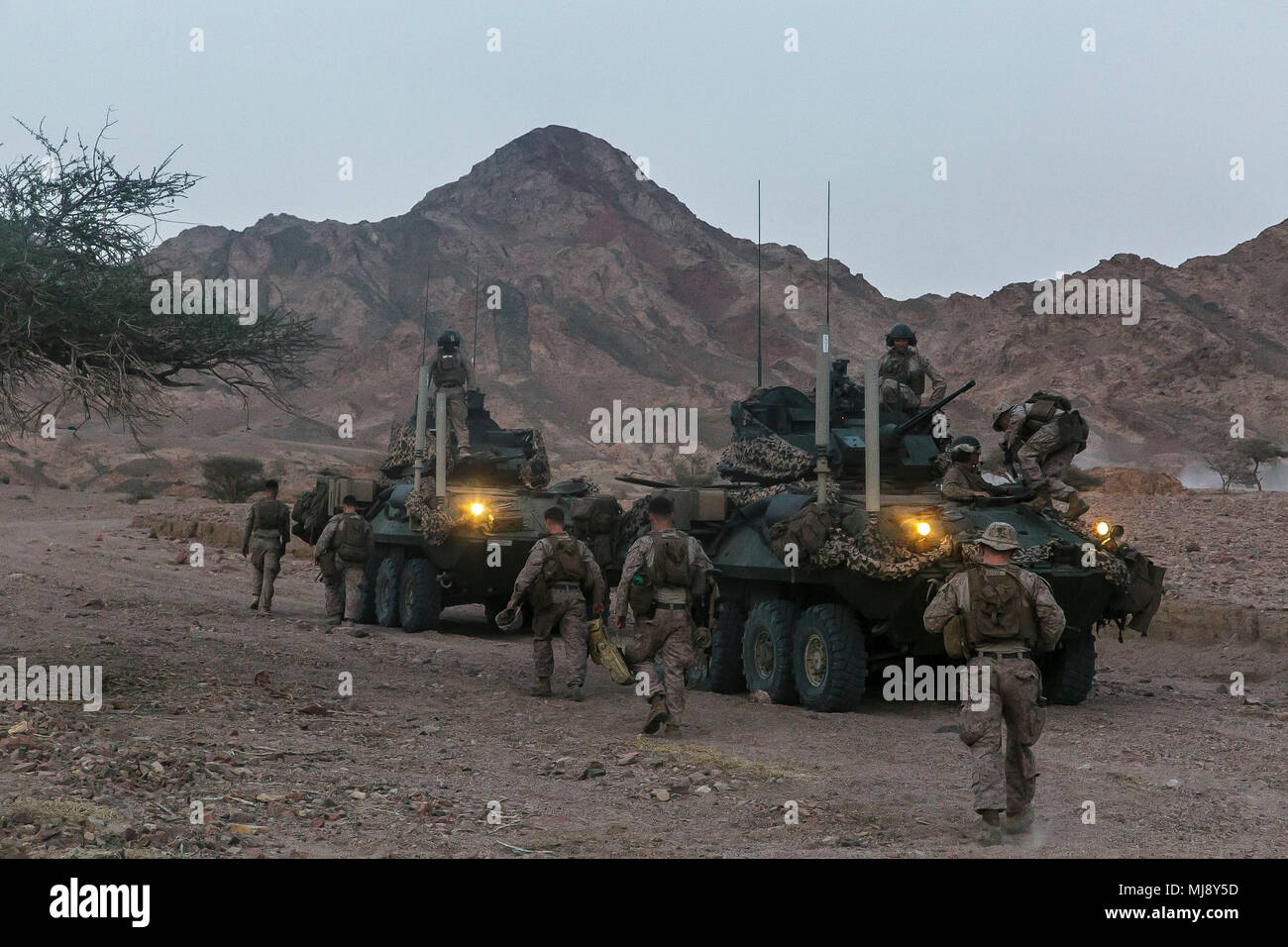 JORDAN (19. April 2018) US-Marines auf der Light Armored Reconnaissance Platoon, Bataillon Landung Team, 2.BATAILLON, 6 Marine Regiment, 26 Marine Expeditionary Unit, transport Marines zugewiesen zu Fox Company, BLT 2/6, 26 MEU, zu einer Ausbildung Bereich während eifrig Lion 2018, Jordan. Eifrig Lion ist ein schlußstein Ausbildung Engagement, die US-Streitkräfte und der Jordan Streitkräfte eine Gelegenheit, die in einer Koalition Umwelt zu proben und neue Wege, um gemeinsam Gefahren für die regionale Sicherheit und die Sicherheit im Seeverkehr verbessern. (U.S. Marine Corps Foto Stockfoto
