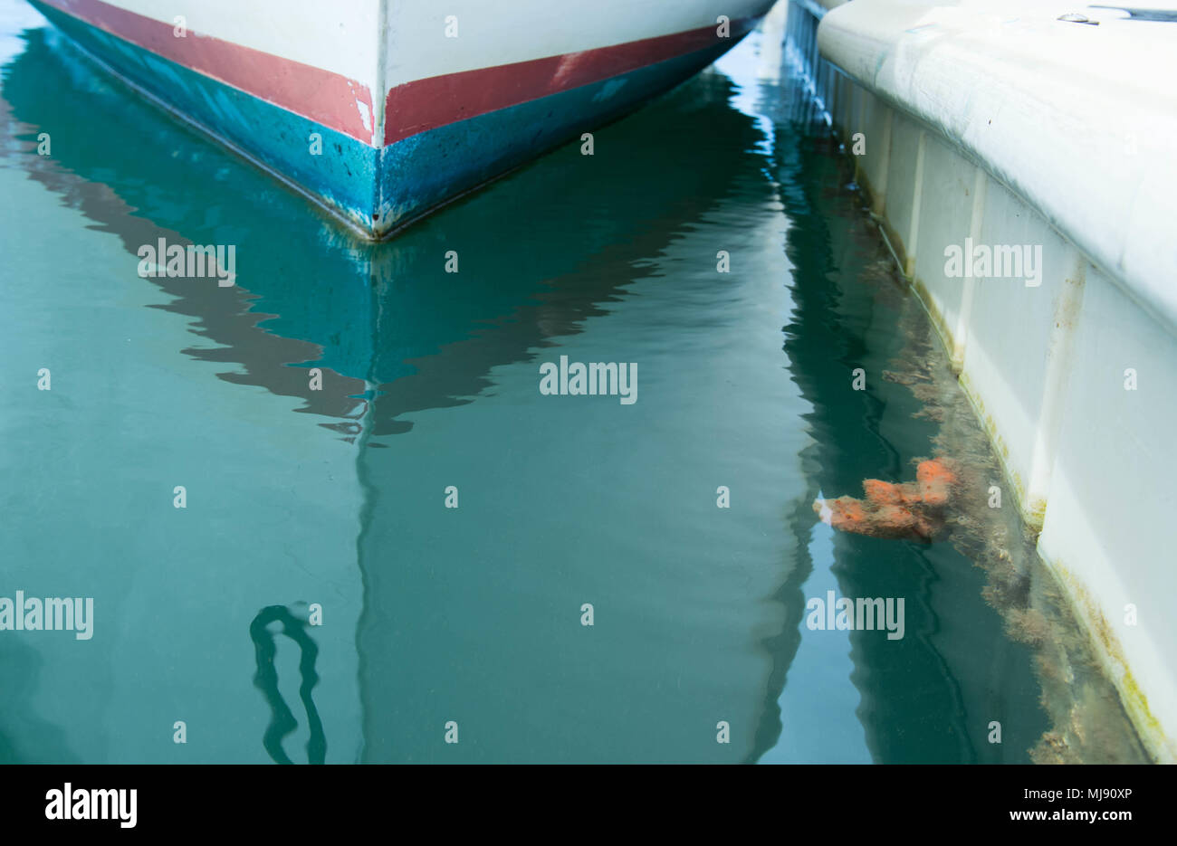 180425-N-ND 356-0006 Pearl Harbor (Apr. 25, 2018) Schwämme wachsen auf den schwimmdocks der Joint Base Pearl Harbor-Hickam Rainbow Bay Marina. Verschiedene Arten von Schwämmen in der Marina zu finden sind Gegenstand der Forschung für Dr. Harry Davis, klinischer Professor an der John A. brennt Schule von Medizin an der Universität von Hawaii assoziieren. Dr. Davis' Research verwendet Schwämme als ein einfaches Modell für die Entwicklung, die Anwendung zu vielen Erkrankungen wie Alzheimer und Autismus. (U.S. Marine Foto von Mass Communication Specialist 3. Klasse Jessica O. Blackwell) Stockfoto