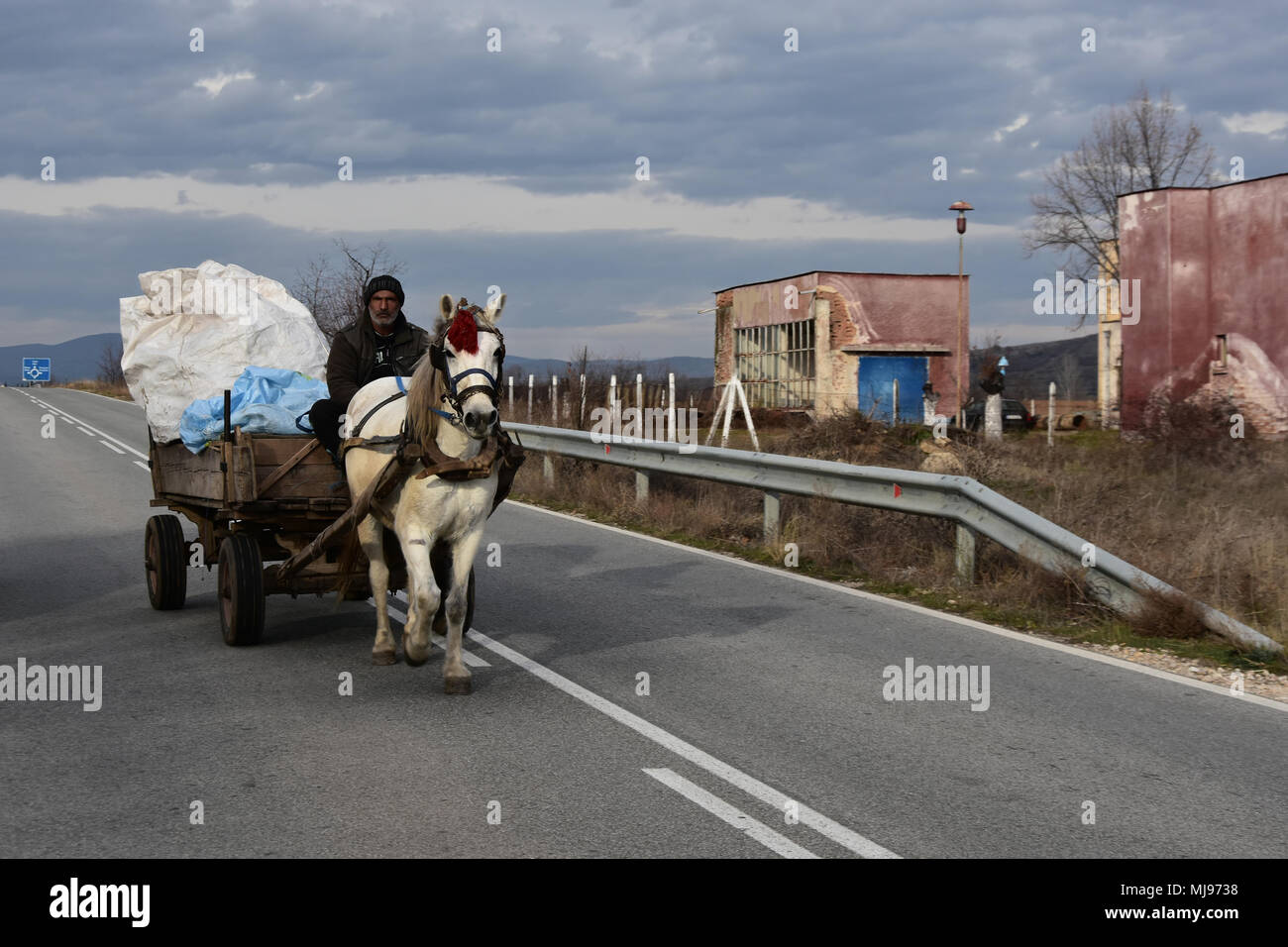 Karabunar, Bulgarien - Dezember 16, 2017: Gypsy Pferdewagen auf der Straße. Weiß Entwurf Pferd mit roter Quaste Abschleppen eines überlasteten Holz- Warenkorb Stockfoto