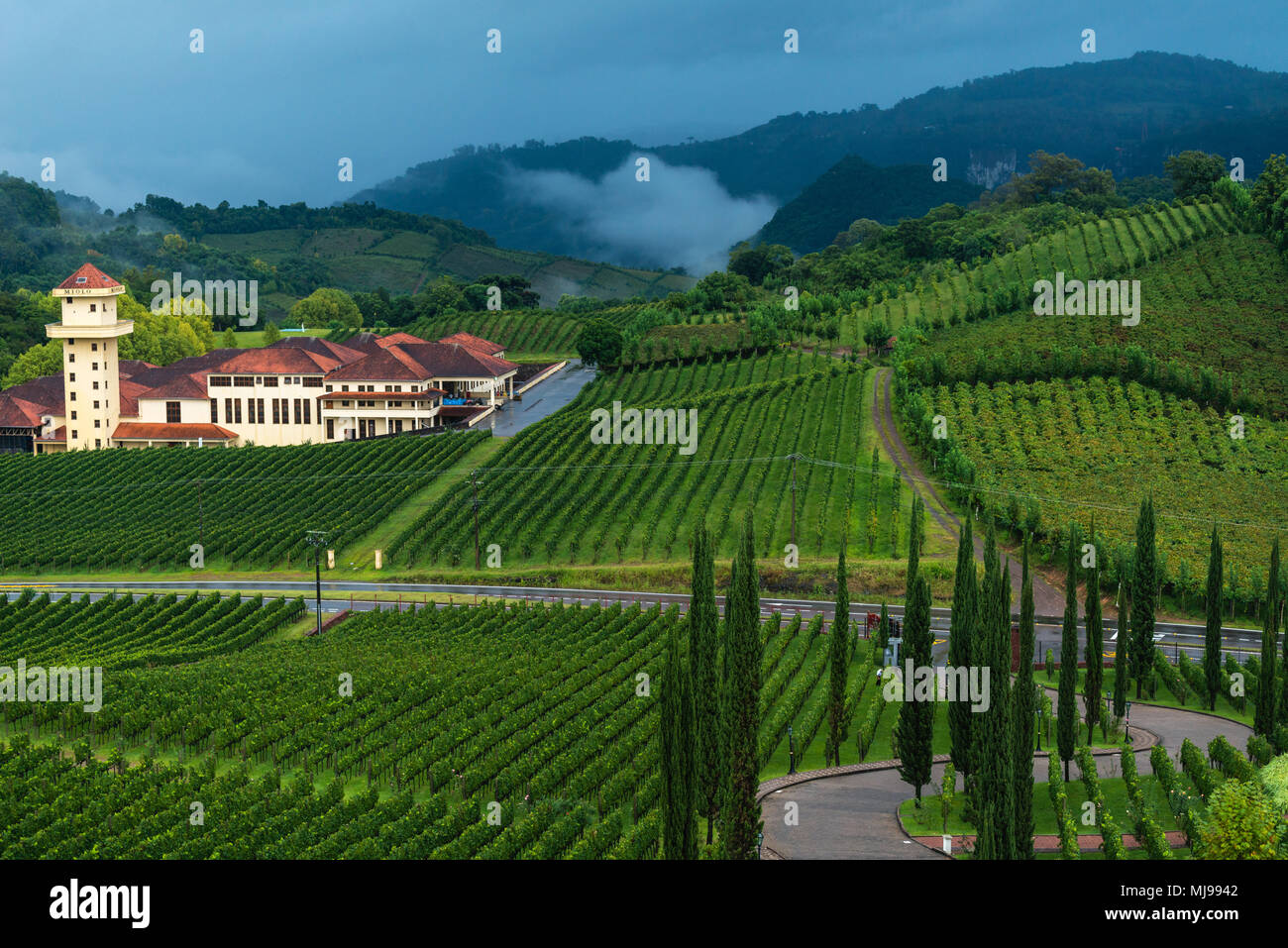 Weingut 'Miolo' umgeben von Weinbergen, Vale dos Vinhedos, Rio Grande do Sul, Brasilien, Lateinamerika Stockfoto