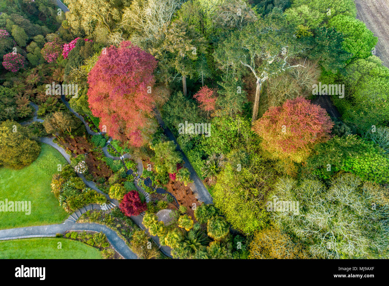 Trebah Garten aus der Luft; Cornwall, UK Stockfoto
