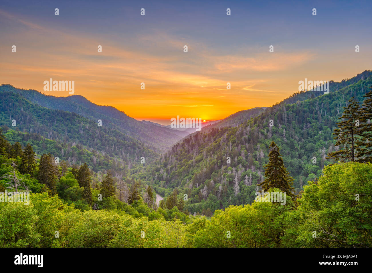 Great Smoky Mountains National Park, Tennessee, USA Sonnenuntergang Landschaft über Newfound Gap. Stockfoto