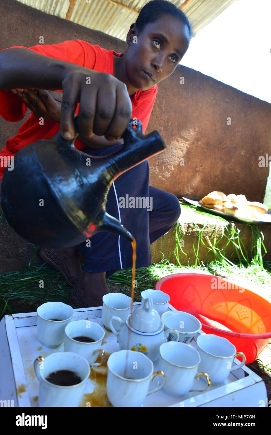 Eine Dame, die Suke Quto Coffee Farm, Kaffee in der Äthiopischen Topf, jabena Stockfoto