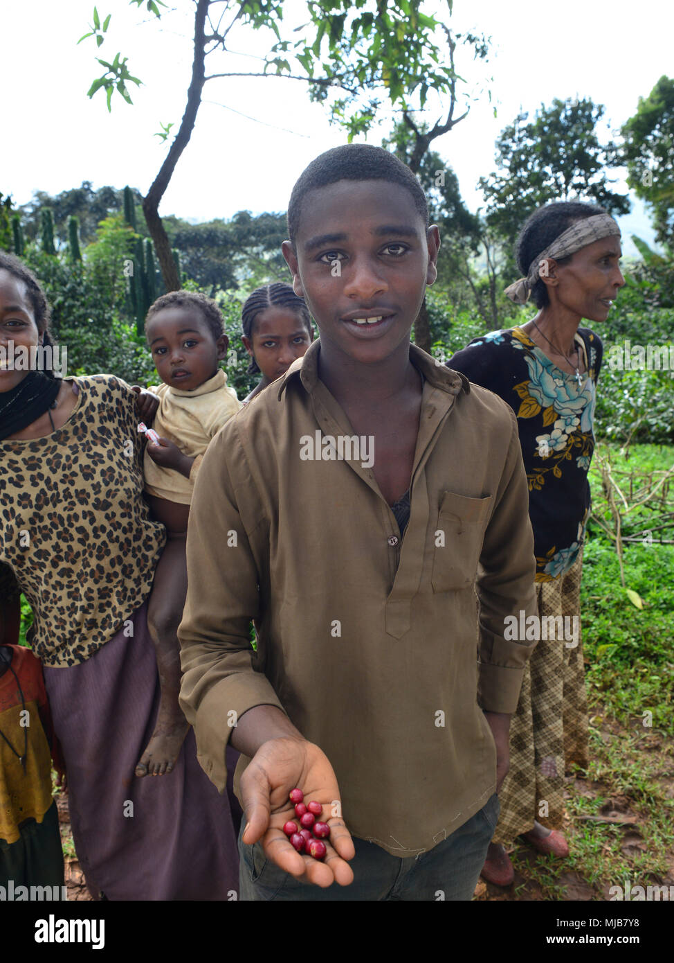 Ein Junge mit einer Handvoll Kaffeekirschen, Coffee Garden in der Nähe von Äthiopien Yirgacheffe, Stockfoto