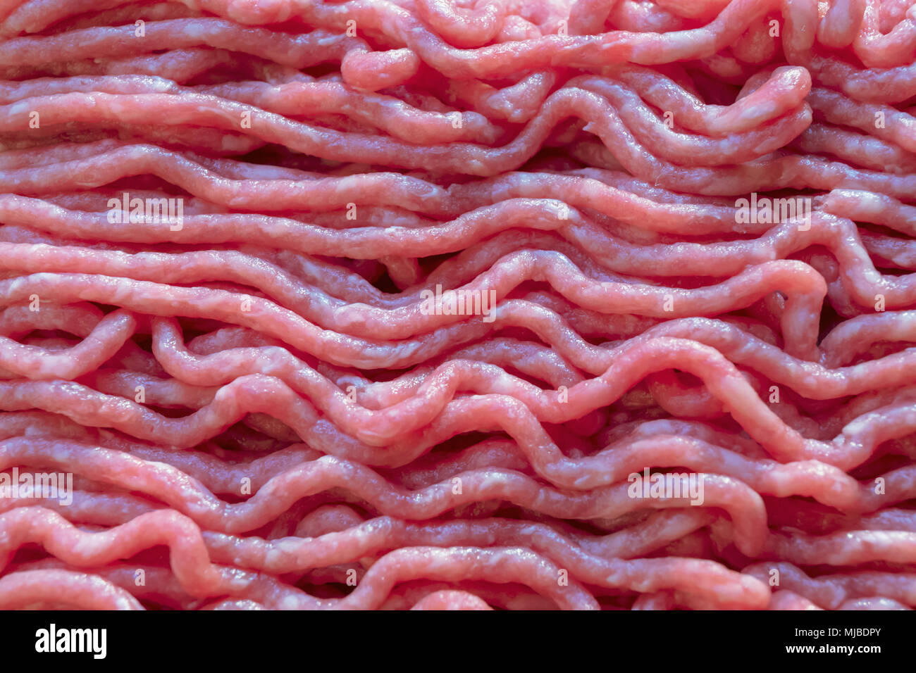 Organische Rinderhackfleisch, close-up Stockfoto