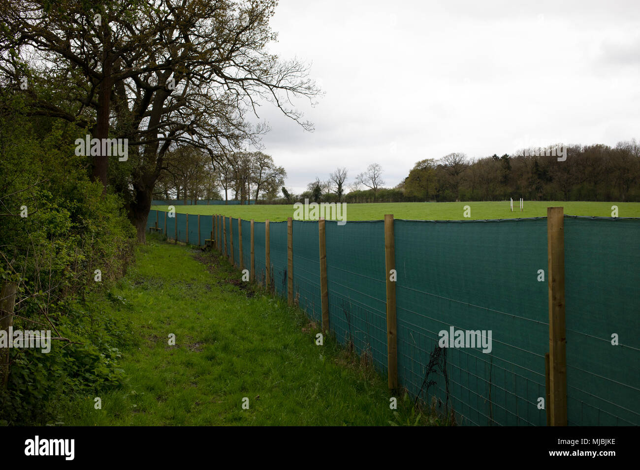Der Bereich, in dem Land in Vorbereitung für den Beginn des Baus der HS2 High Speed Rail Link in Ufton, England, Vereinigtes Königreich eingezäunt. Hohe Geschwindigkeit 2 ist eine geplante Schnellfahrstrecke, die darauf abzielen, ist das neue Rückgrat des nationalen Eisenbahnnetzes zu sein, die Verknüpfung der Süden mit den Midlands und weitere Norden. Es ist ein hochaktuelles und politisches Problem wegen der Auswirkungen auf die Umwelt für die entlang der Route. Stockfoto Der Bereich, in dem Land in Vorbereitung für den Beginn des Baus der HS2 High Speed Rail Link in Ufton, England, Vereinigtes Königreich eingezäunt. Hohe Geschwindigkeit 2 ist eine geplante Schnellfahrstrecke, die darauf abzielen, ist das neue Rückgrat des nationalen Eisenbahnnetzes zu sein, die Verknüpfung der Süden mit den Midlands und weitere Norden. Es ist ein hochaktuelles und politisches Problem wegen der Auswirkungen auf die Umwelt für die entlang der Route. Stockfoto