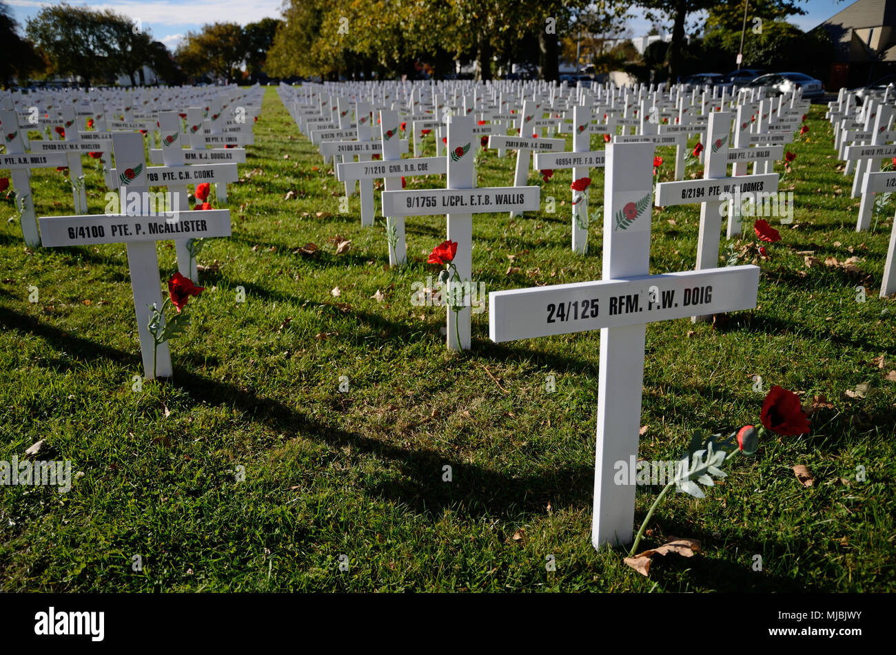 CHRISTCHURCH, NEUSEELAND, 20. APRIL 2018: ein Feld der Kreuze steht für diejenigen, die im Großen Krieg für eine Gedenkstätte auf dem Anzac Tag starb Stockfoto