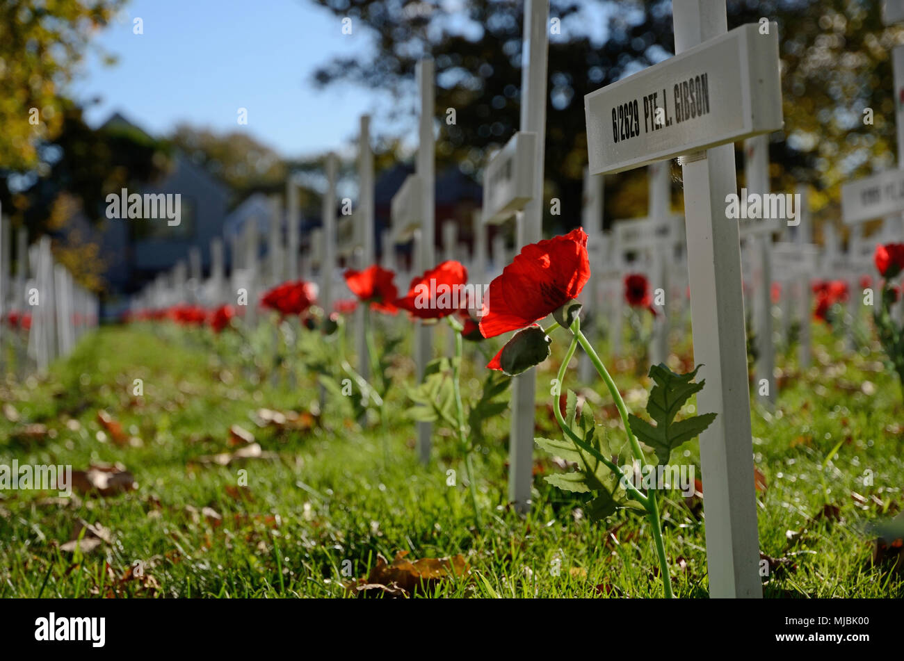 CHRISTCHURCH, NEUSEELAND, 20. APRIL 2018: ein Feld der Kreuze steht für diejenigen, die im Großen Krieg für eine Gedenkstätte auf dem Anzac Tag starb Stockfoto