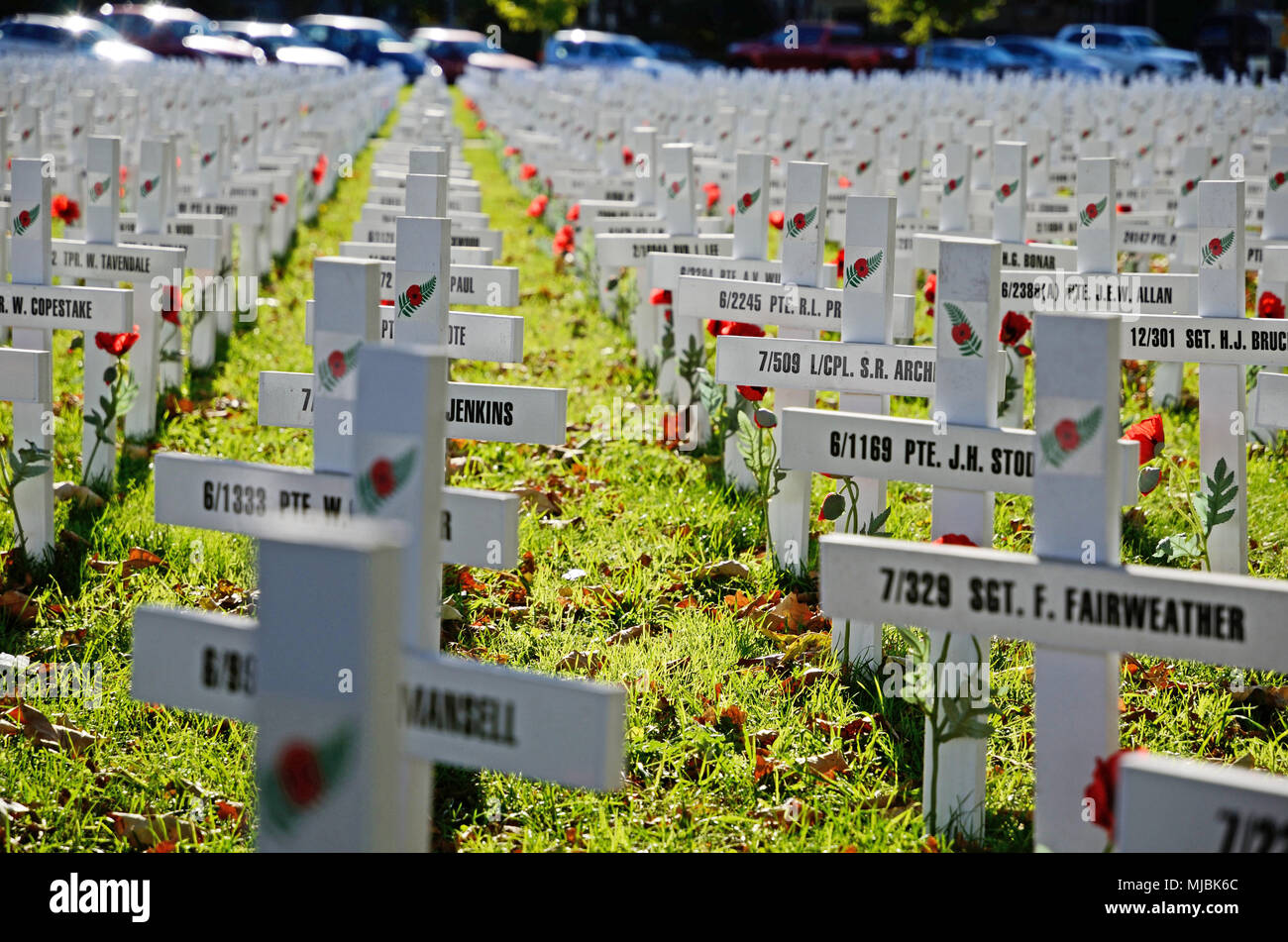 CHRISTCHURCH, NEUSEELAND, 20. APRIL 2018: ein Feld der Kreuze steht für diejenigen, die im Großen Krieg für eine Gedenkstätte auf dem Anzac Tag starb Stockfoto