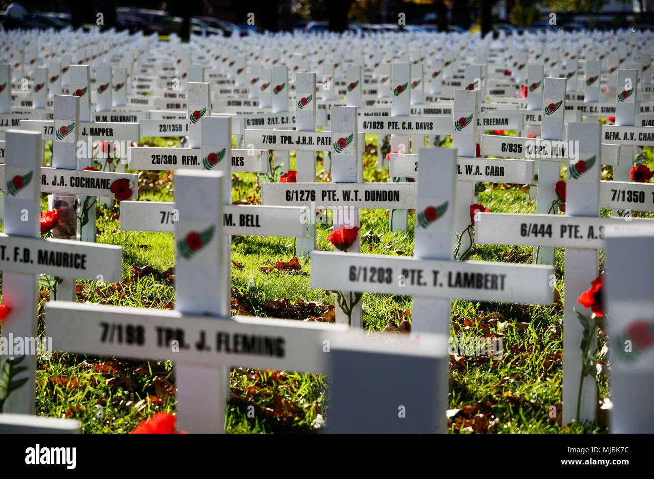 CHRISTCHURCH, NEUSEELAND, 20. APRIL 2018: ein Feld der Kreuze steht für diejenigen, die im Großen Krieg für eine Gedenkstätte auf dem Anzac Tag starb Stockfoto