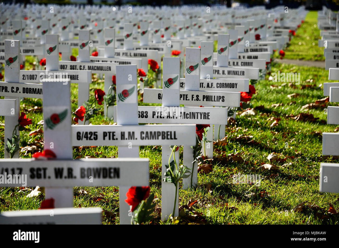 CHRISTCHURCH, NEUSEELAND, 20. APRIL 2018: ein Feld der Kreuze steht für diejenigen, die im Großen Krieg für eine Gedenkstätte auf dem Anzac Tag starb Stockfoto