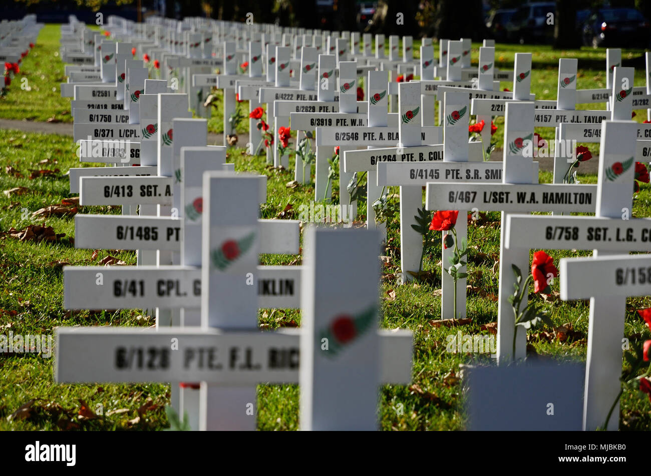 CHRISTCHURCH, NEUSEELAND, 20. APRIL 2018: ein Feld der Kreuze steht für diejenigen, die im Großen Krieg für eine Gedenkstätte auf dem Anzac Tag starb Stockfoto