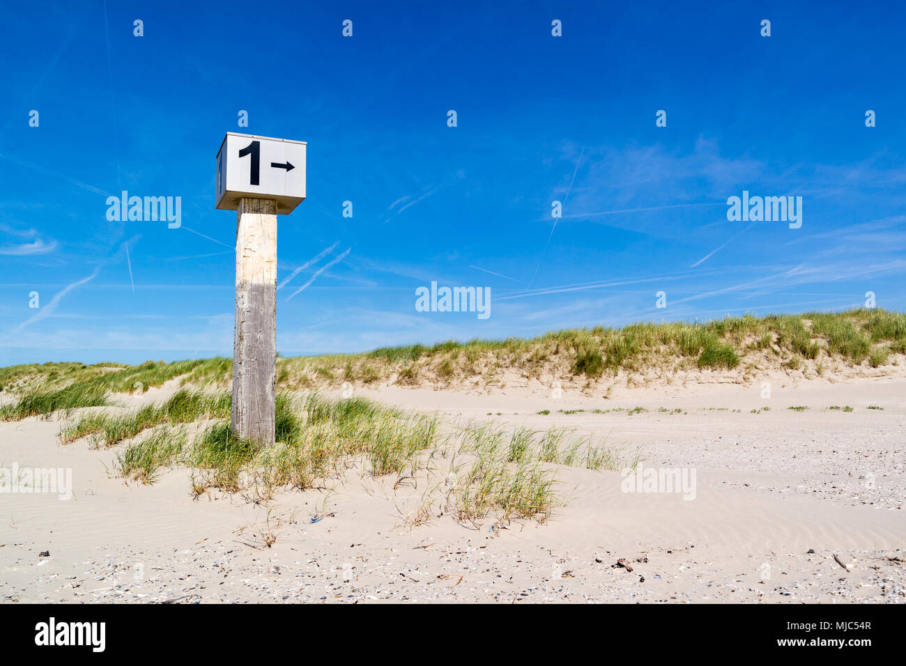 Markierten Strand Pole mit der Nummer 1 in Sand auf der Düne mit Gras auf marram Kennemerstrand Strand in IJmuiden, Noord-Holland, Niederlande Stockfoto