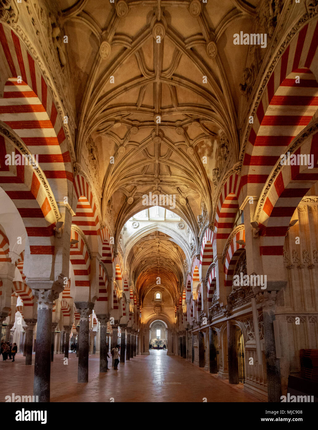 Säulenhalle mit Bögen im maurischen Stil, Gebet Halle der ehemaligen Moschee, Mezquita-Catedral de Cordoba oder die Kathedrale der Konzeption unserer Stockfoto