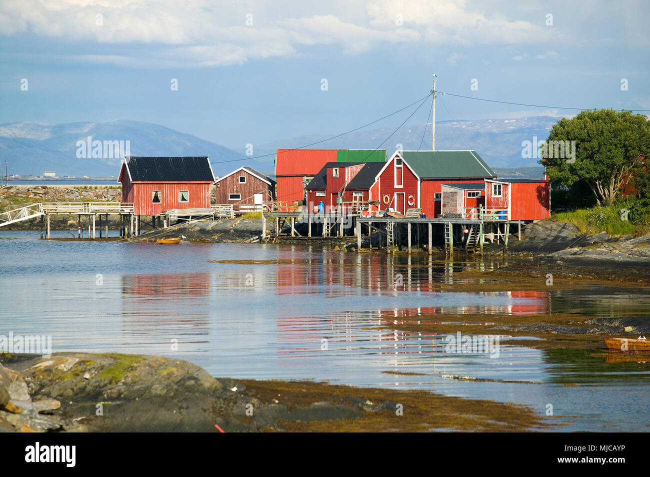 Bunte Holzhäuser in der Mitternachtssonne auf der Insel Lovund im Norden Norwegens in der Nähe des Polarkreises, Landschaft Stockfoto