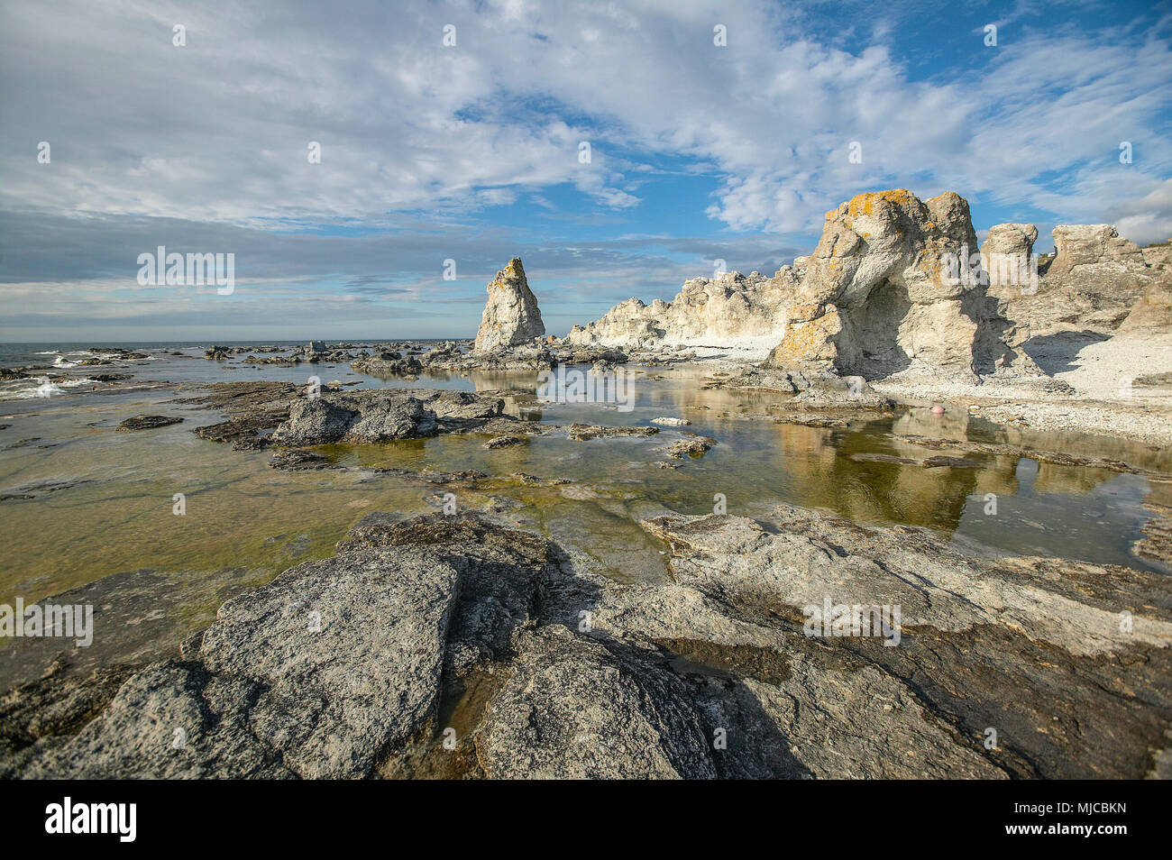 Korallendenkmäler genannt Raukar an der ostseeküste von Gotland, Schweden Stockfoto
