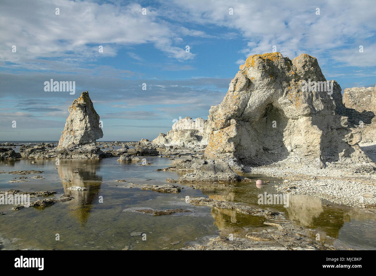 Korallendenkmäler genannt Raukar an der ostseeküste von Gotland, Schweden Stockfoto